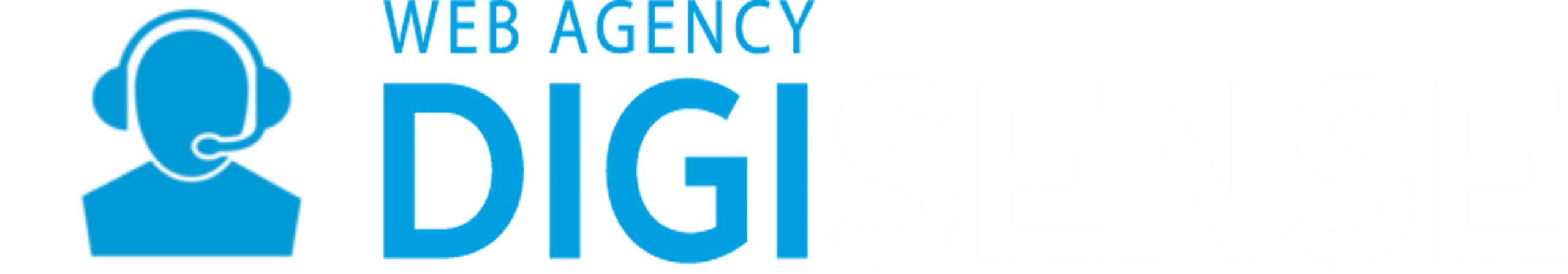 Digisense